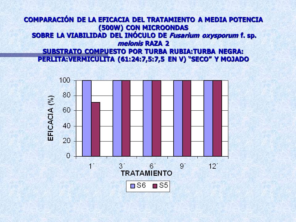 COMPARACIÓN DE LA EFICACIA DEL TRATAMIENTO A MEDIA POTENCIA (500W) CON MICROONDAS SOBRE LA VIABILIDAD DEL INÓCULO DE Fusarium oxysporum f.