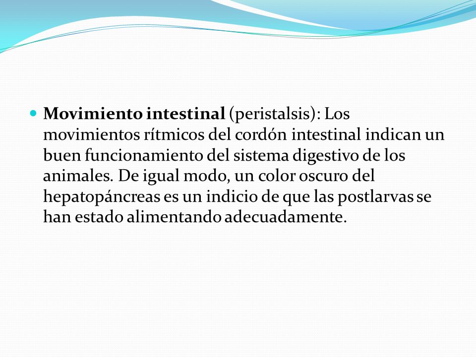 Movimiento intestinal (peristalsis): Los movimientos rítmicos del cordón intestinal indican un buen funcionamiento del sistema digestivo de los animales.