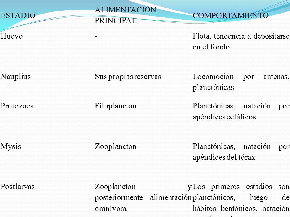 ESTADIO ALIMENTACION PRINCIPAL. COMPORTAMIENTO. Huevo. - Flota, tendencia a depositarse en el fondo.