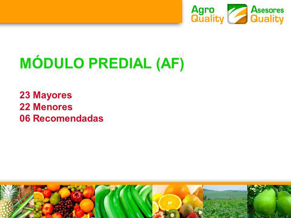 MÓDULO PREDIAL (AF) 23 Mayores 22 Menores 06 Recomendadas