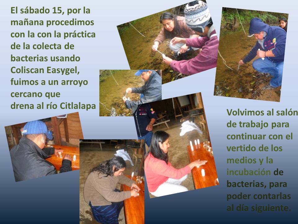 El sábado 15, por la mañana procedimos con la con la práctica de la colecta de bacterias usando Coliscan Easygel, fuimos a un arroyo cercano que
