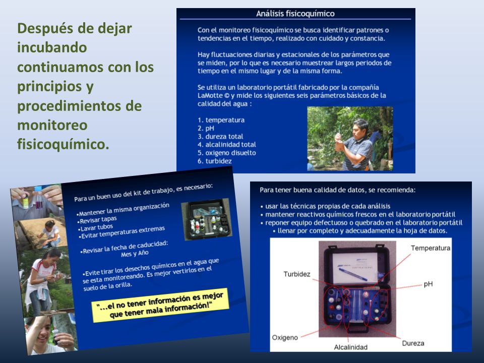 Después de dejar incubando continuamos con los principios y procedimientos de monitoreo fisicoquímico.