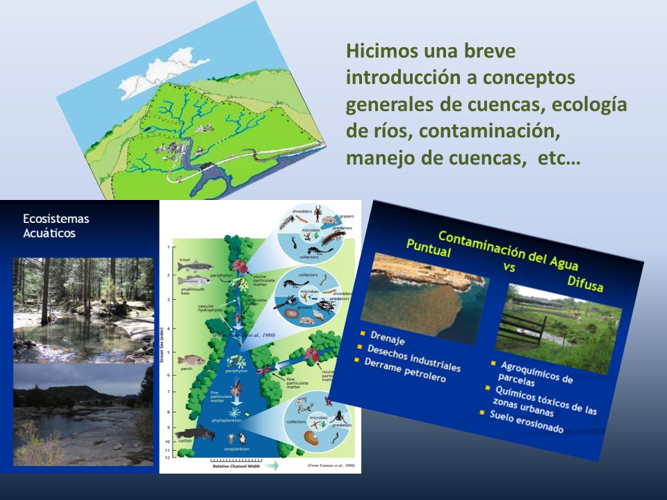 Hicimos una breve introducción a conceptos generales de cuencas, ecología de ríos, contaminación, manejo de cuencas, etc…
