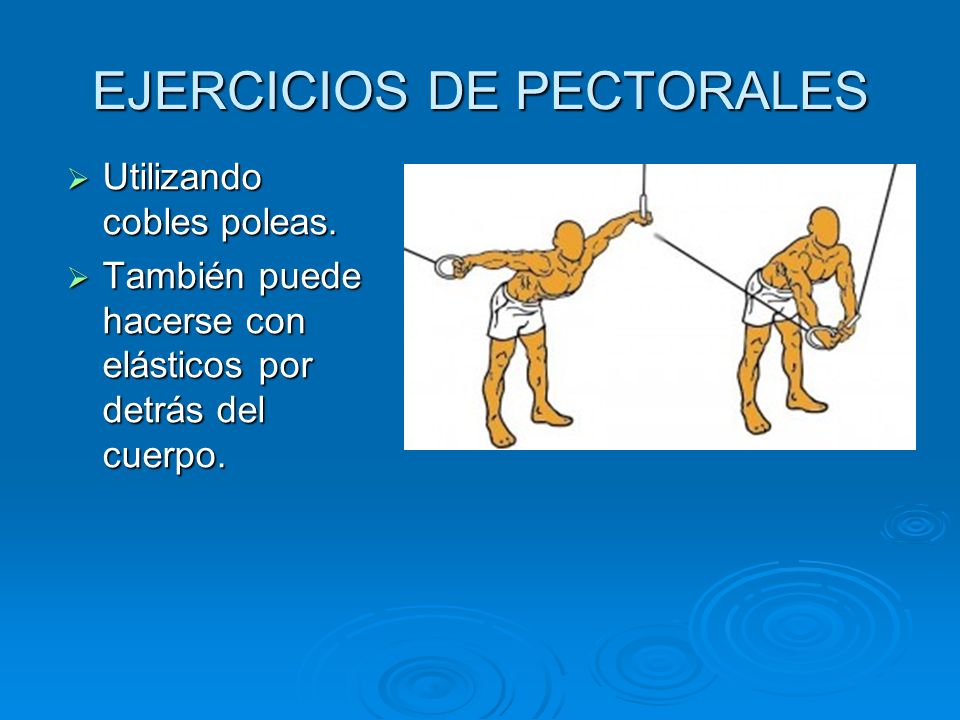 EJERCICIOS DE PECTORALES