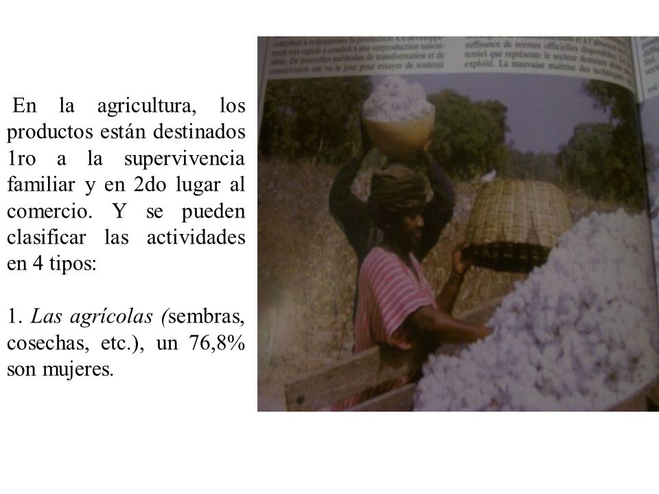 En la agricultura, los productos están destinados 1ro a la supervivencia familiar y en 2do lugar al comercio. Y se pueden clasificar las actividades en 4 tipos: