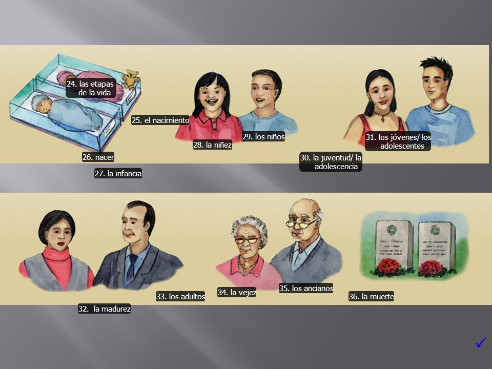  24. las etapas de la vida 25. el nacimiento 29. los niños