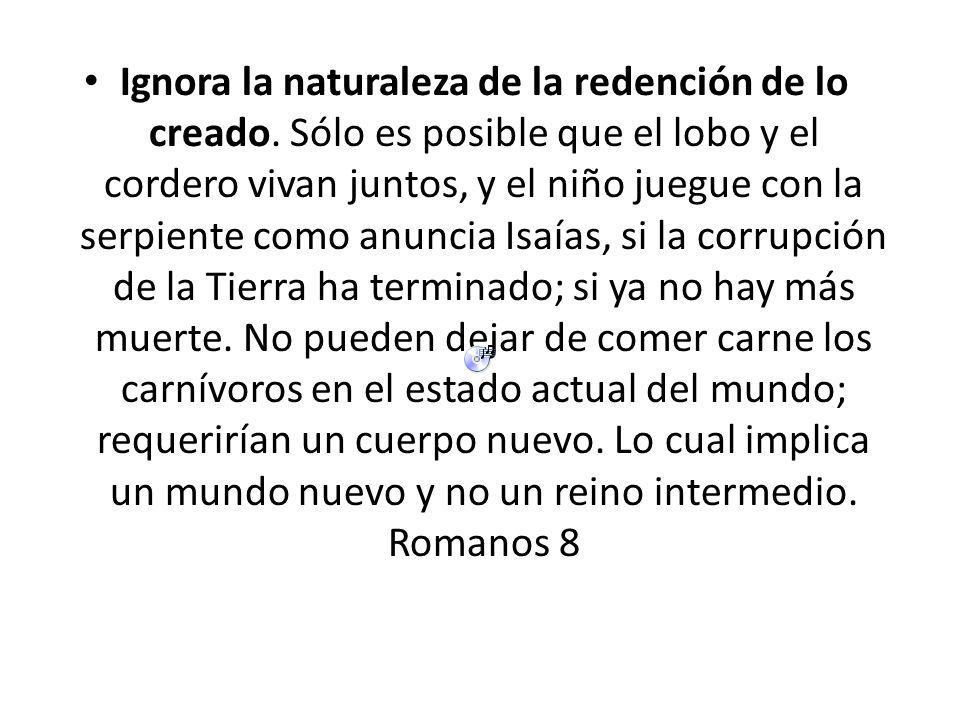 Ignora la naturaleza de la redención de lo creado