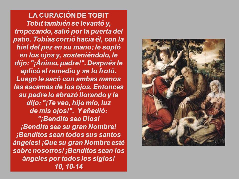 LA CURACIÓN DE TOBIT Tobit también se levantó y, tropezando, salió por la puerta del patio. Tobías corrió hacia él, con la hiel del pez en su mano; le sopló en los ojos y, sosteniéndolo, le dijo: ¡Ánimo, padre! . Después le aplicó el remedio y se lo frotó. Luego le sacó con ambas manos las escamas de los ojos. Entonces su padre lo abrazó llorando y le dijo: ¡Te veo, hijo mío, luz