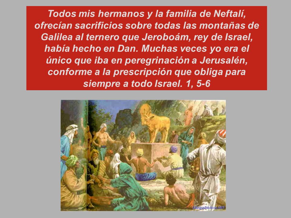 Todos mis hermanos y la familia de Neftalí, ofrecían sacrificios sobre todas las montañas de Galilea al ternero que Jeroboám, rey de Israel, había hecho en Dan. Muchas veces yo era el