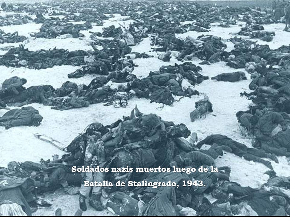 Soldados nazis muertos luego de la Batalla de Stalingrado, 1943.