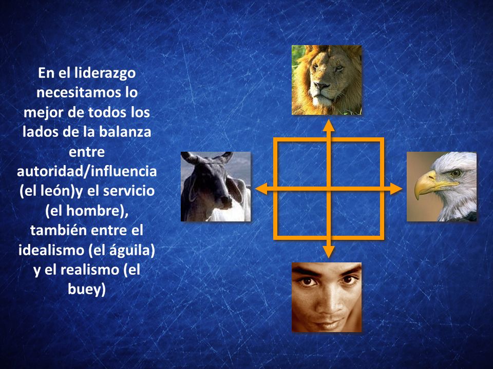 En el liderazgo necesitamos lo mejor de todos los lados de la balanza entre autoridad/influencia(el león)y el servicio (el hombre), también entre el idealismo (el águila) y el realismo (el buey)