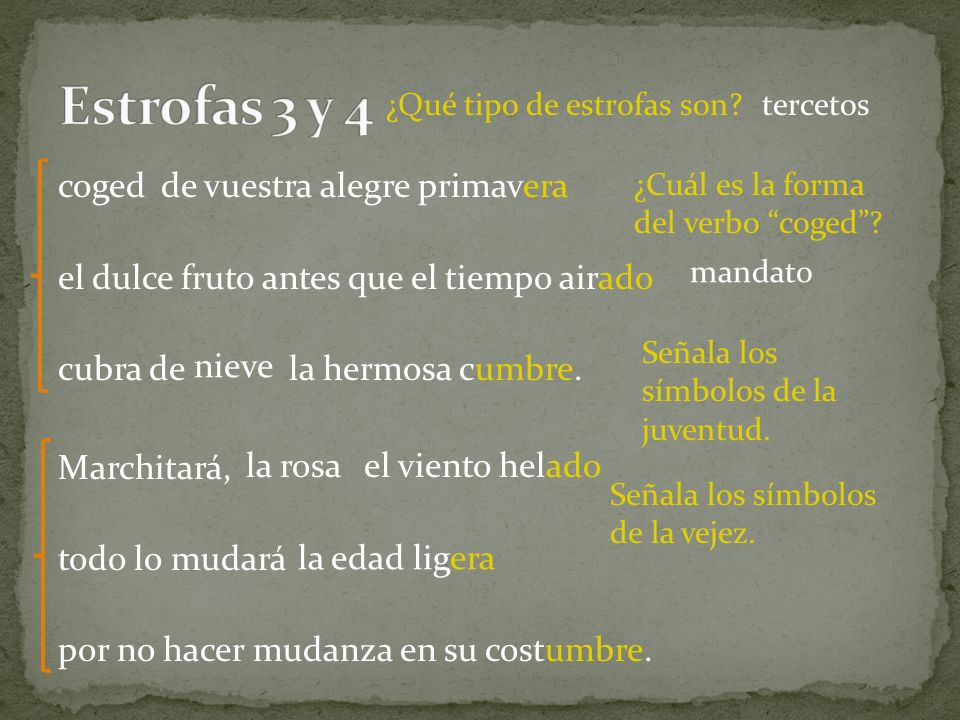 Estrofas 3 y 4 ¿Qué tipo de estrofas son tercetos.