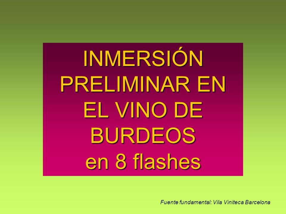 INMERSIÓN PRELIMINAR EN EL VINO DE BURDEOS en 8 flashes