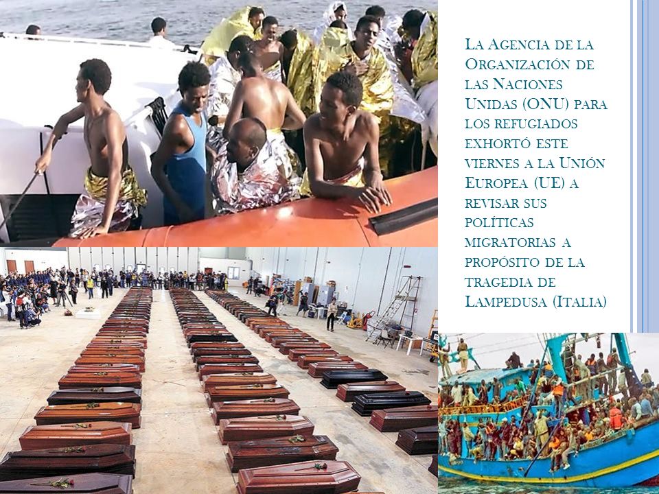 La Agencia de la Organización de las Naciones Unidas (ONU) para los refugiados exhortó este viernes a la Unión Europea (UE) a revisar sus políticas migratorias a propósito de la tragedia de Lampedusa (Italia)