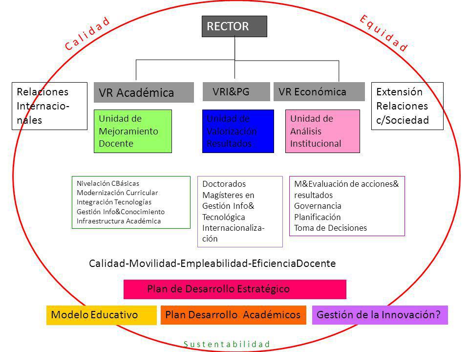 RECTOR VR Académica C a l i d a d E q u i d a d Relaciones