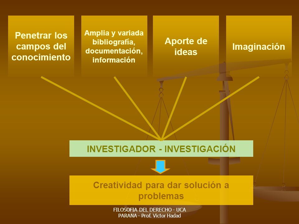 Penetrar los campos del conocimiento Aporte de ideas Imaginación