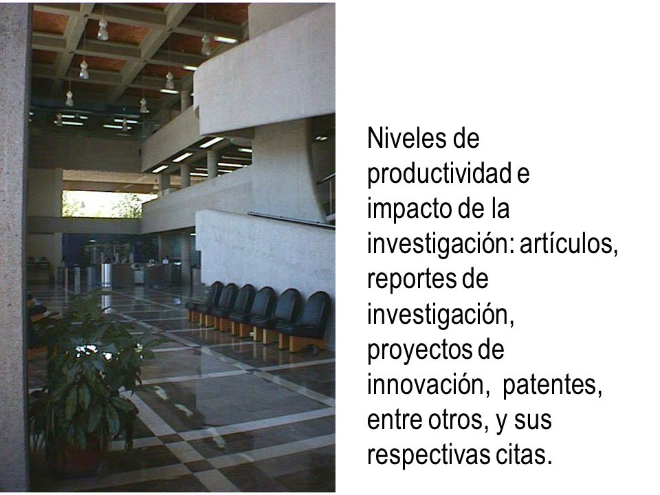 Niveles de productividad e impacto de la investigación: artículos, reportes de investigación, proyectos de innovación, patentes, entre otros, y sus respectivas citas.