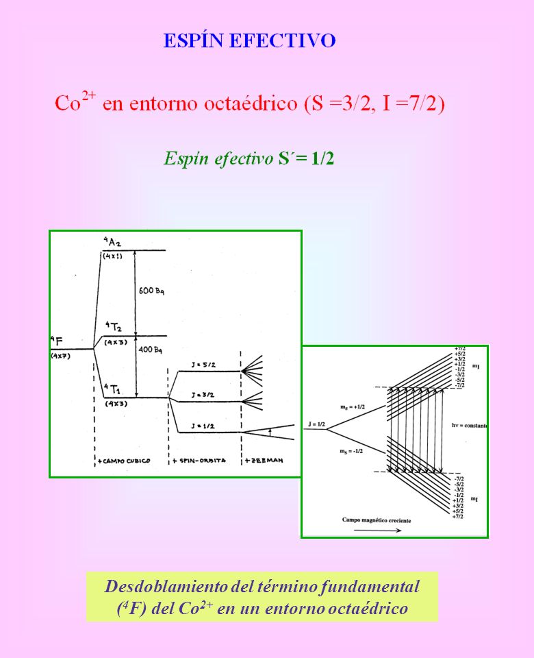 Desdoblamiento del término fundamental (4F) del Co2+ en un entorno octaédrico