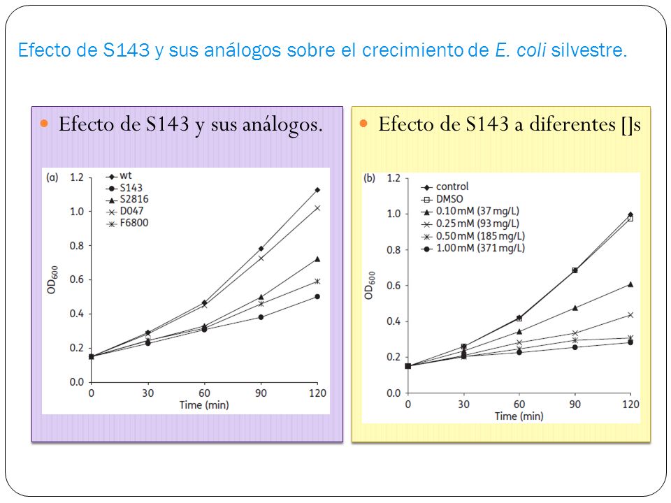 Efecto de S143 y sus análogos. Efecto de S143 a diferentes []s