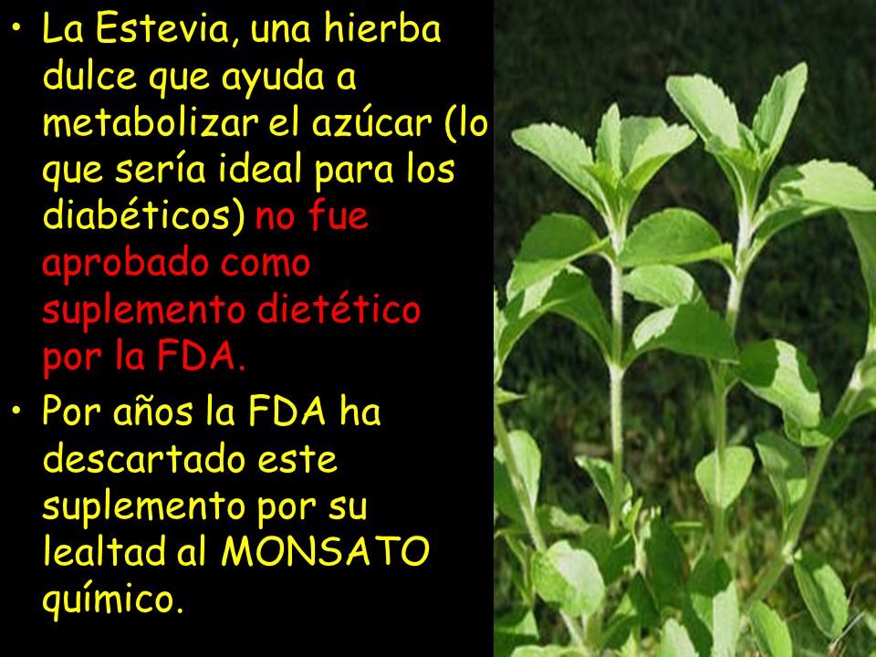 La Estevia, una hierba dulce que ayuda a metabolizar el azúcar (lo que sería ideal para los diabéticos) no fue aprobado como suplemento dietético por la FDA.