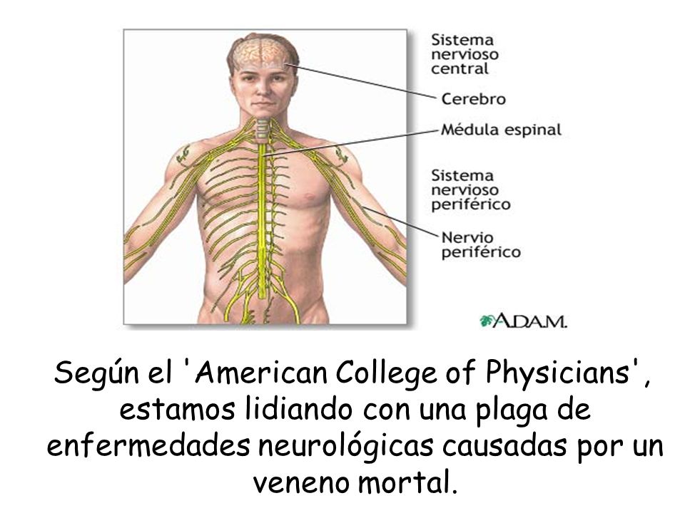 Según el American College of Physicians , estamos lidiando con una plaga de enfermedades neurológicas causadas por un veneno mortal.