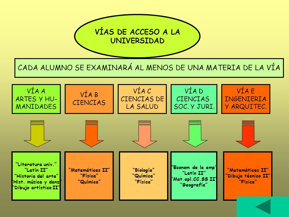 CADA ALUMNO SE EXAMINARÁ AL MENOS DE UNA MATERIA DE LA VÍA