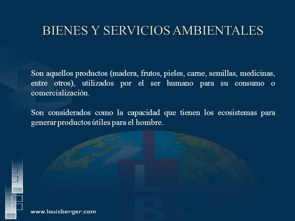 BIENES Y SERVICIOS AMBIENTALES