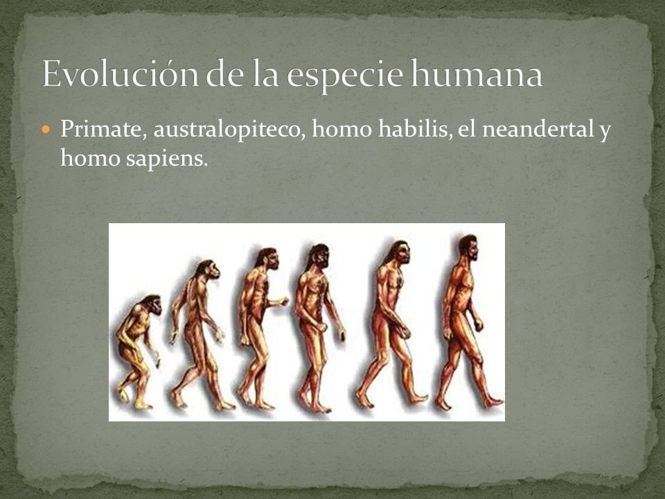 Evolución de la especie humana