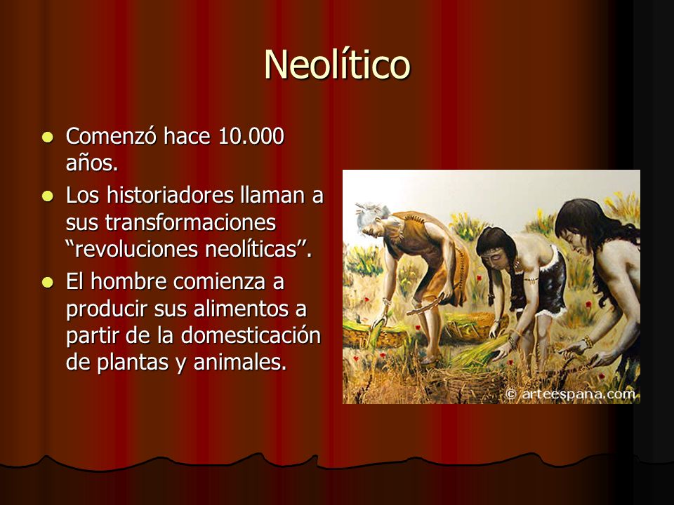 Neolítico Comenzó hace años.
