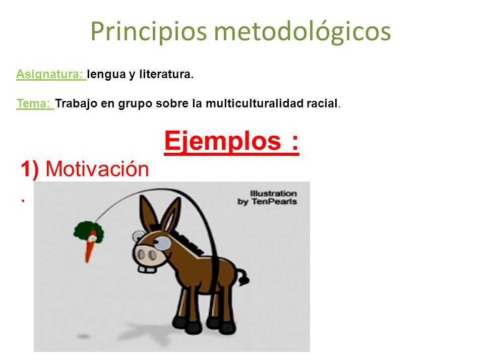 Principios metodológicos