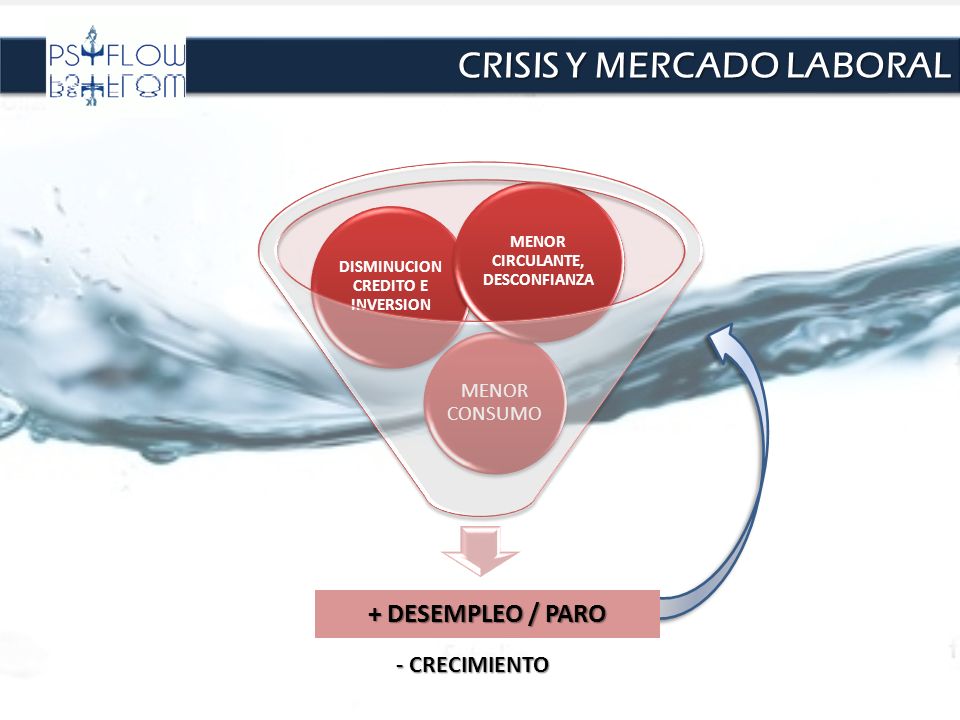 DISMINUCION CREDITO E INVERSION MENOR CIRCULANTE, DESCONFIANZA