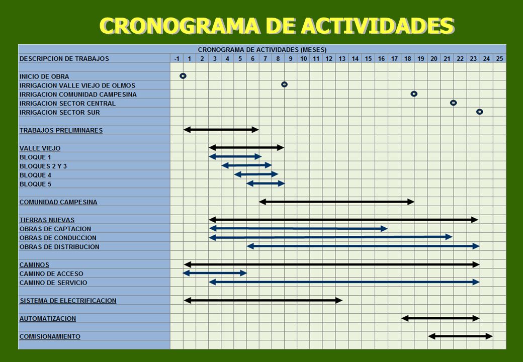 CRONOGRAMA DE ACTIVIDADES