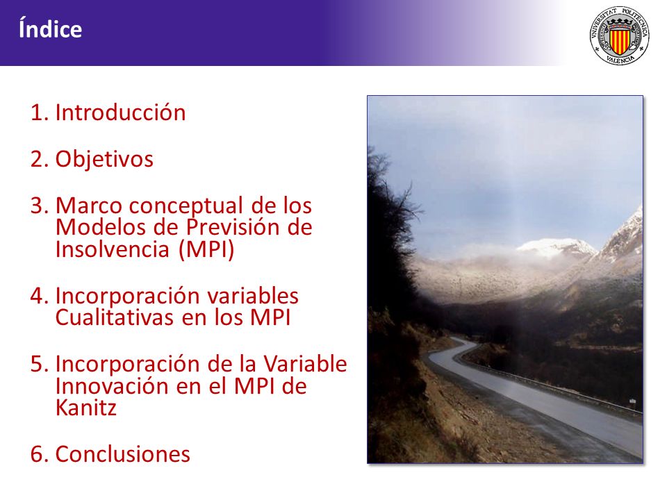 Marco conceptual de los Modelos de Previsión de Insolvencia (MPI)