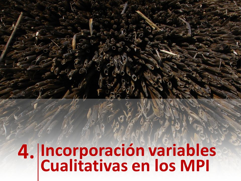 NOTAS: 4. Incorporación variables Cualitativas en los MPI
