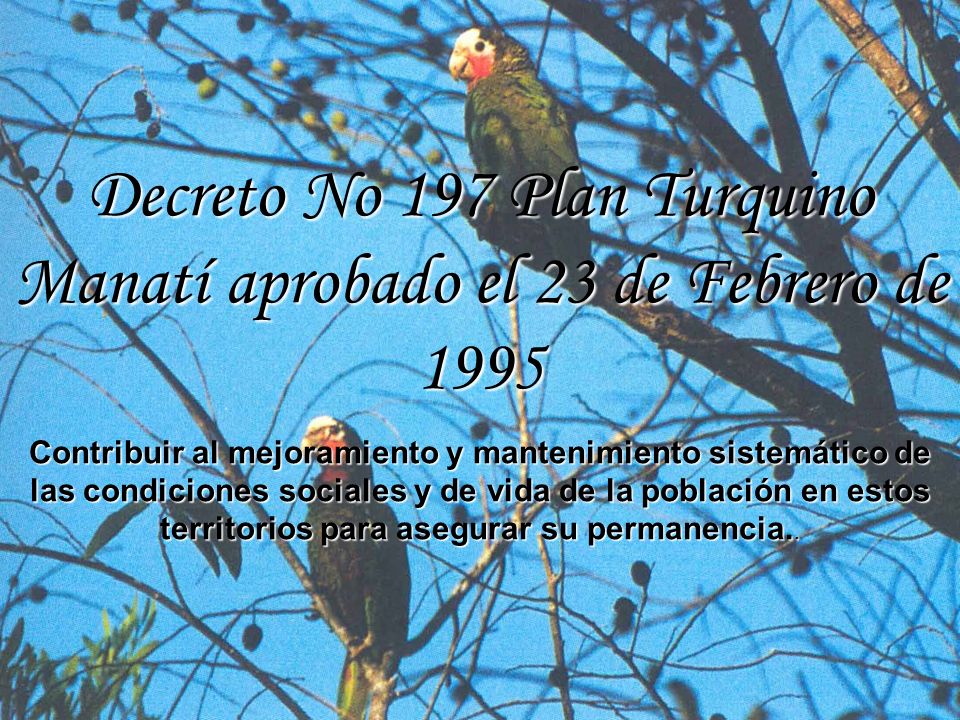 Decreto No 197 Plan Turquino Manatí aprobado el 23 de Febrero de 1995