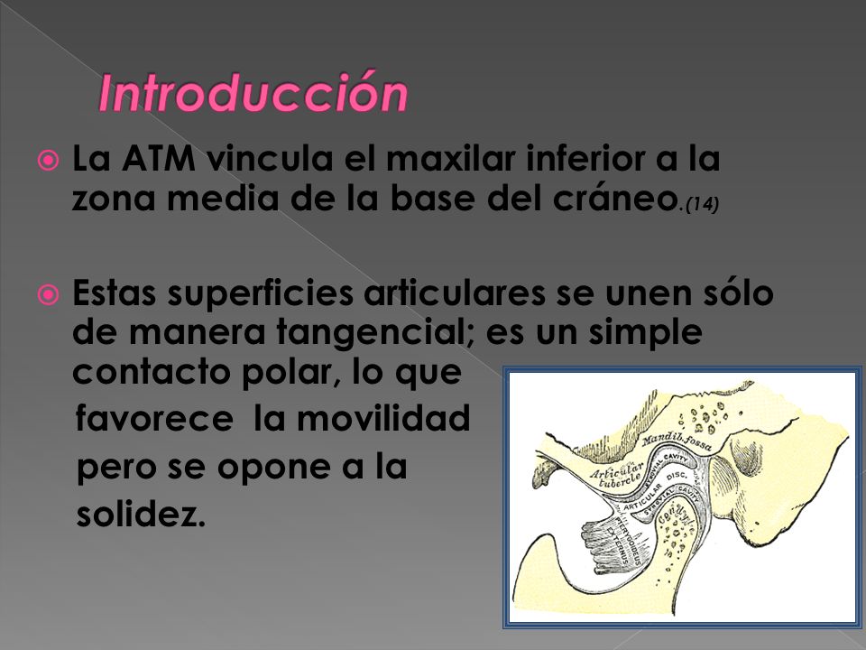 Introducción La ATM vincula el maxilar inferior a la zona media de la base del cráneo.(14)