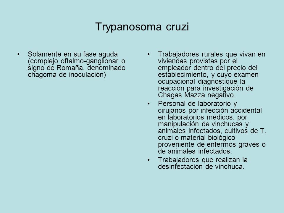 Trypanosoma cruzi Solamente en su fase aguda (complejo oftalmo-ganglionar o signo de Romaña, denominado chagoma de inoculación)