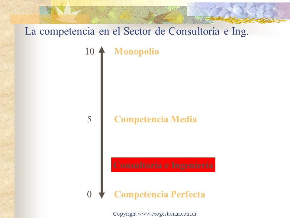 La competencia en el Sector de Consultoría e Ing.