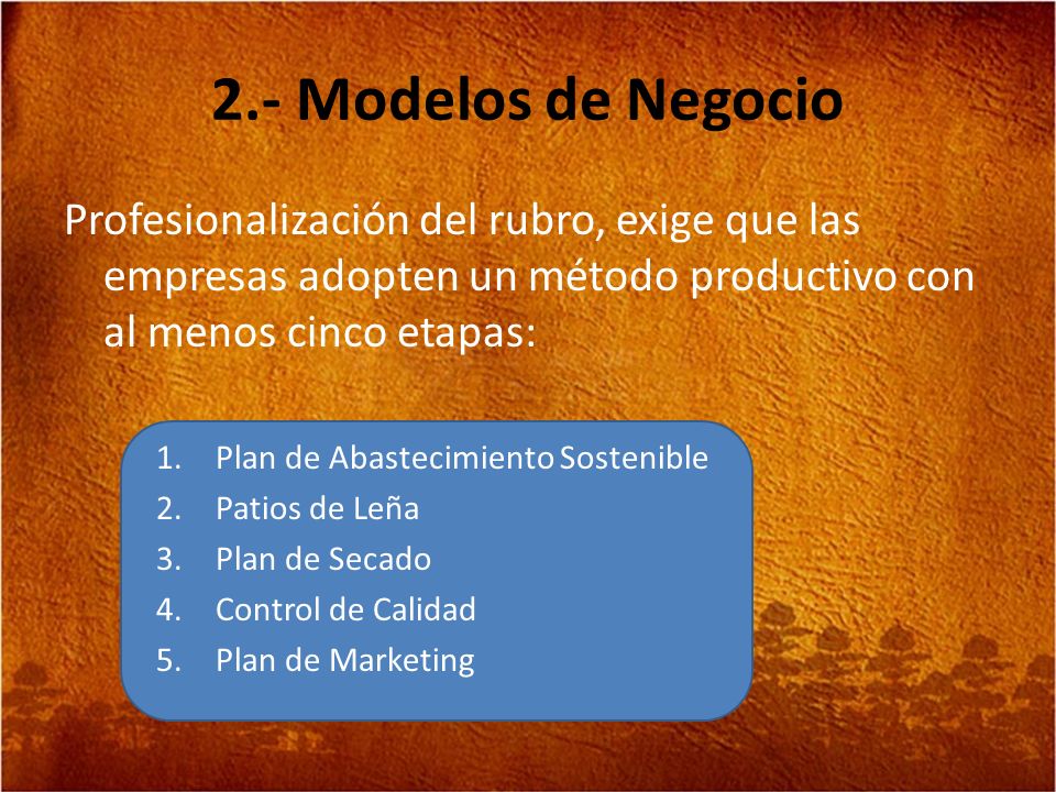 2.- Modelos de Negocio Profesionalización del rubro, exige que las empresas adopten un método productivo con al menos cinco etapas: