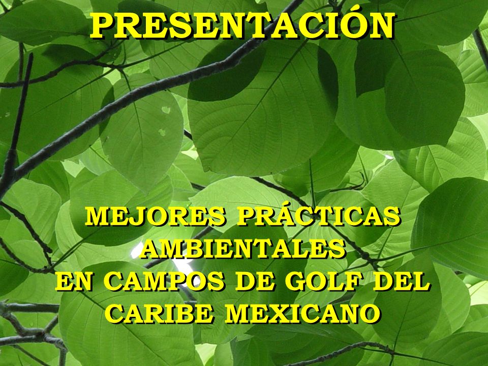 MEJORES PRÁCTICAS AMBIENTALES EN CAMPOS DE GOLF DEL CARIBE MEXICANO