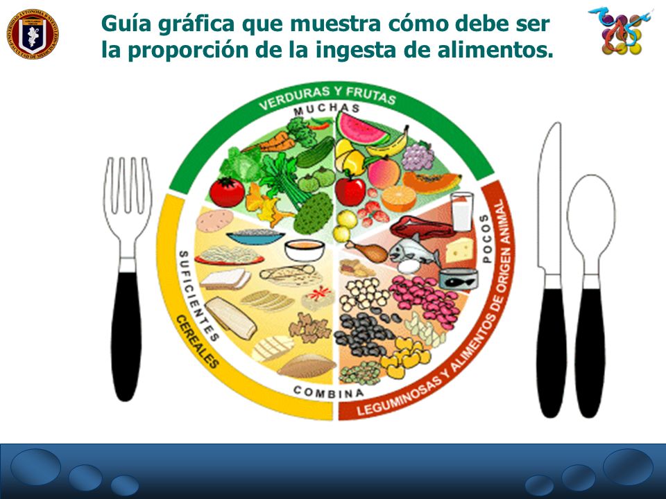 Guía gráfica que muestra cómo debe ser la proporción de la ingesta de alimentos.