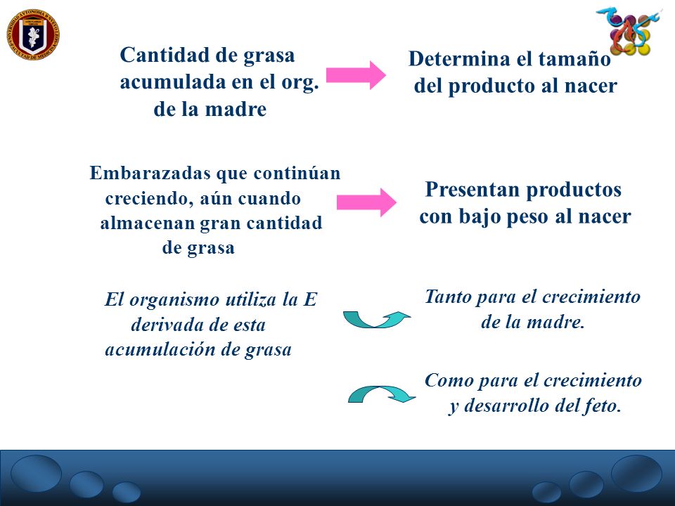 Cantidad de grasa Determina el tamaño acumulada en el org.