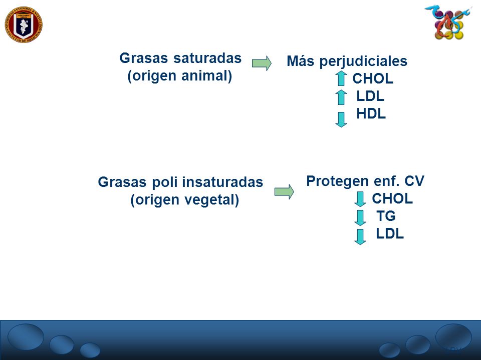 Grasas poli insaturadas (origen vegetal) Protegen enf. CV CHOL TG LDL