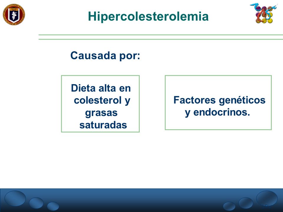 Hipercolesterolemia Causada por: Dieta alta en colesterol y grasas