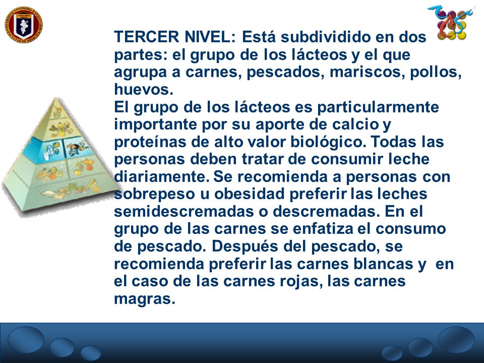 TERCER NIVEL: Está subdividido en dos partes: el grupo de los lácteos y el que agrupa a carnes, pescados, mariscos, pollos, huevos.