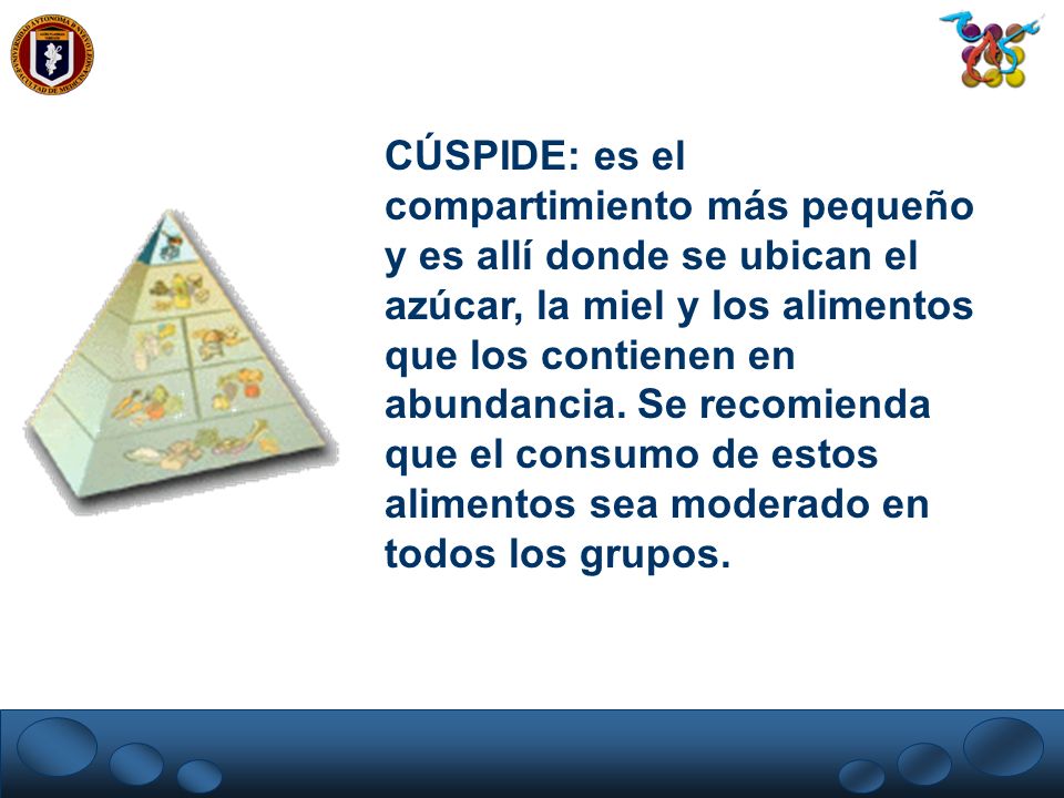 CÚSPIDE: es el compartimiento más pequeño y es allí donde se ubican el azúcar, la miel y los alimentos que los contienen en abundancia.