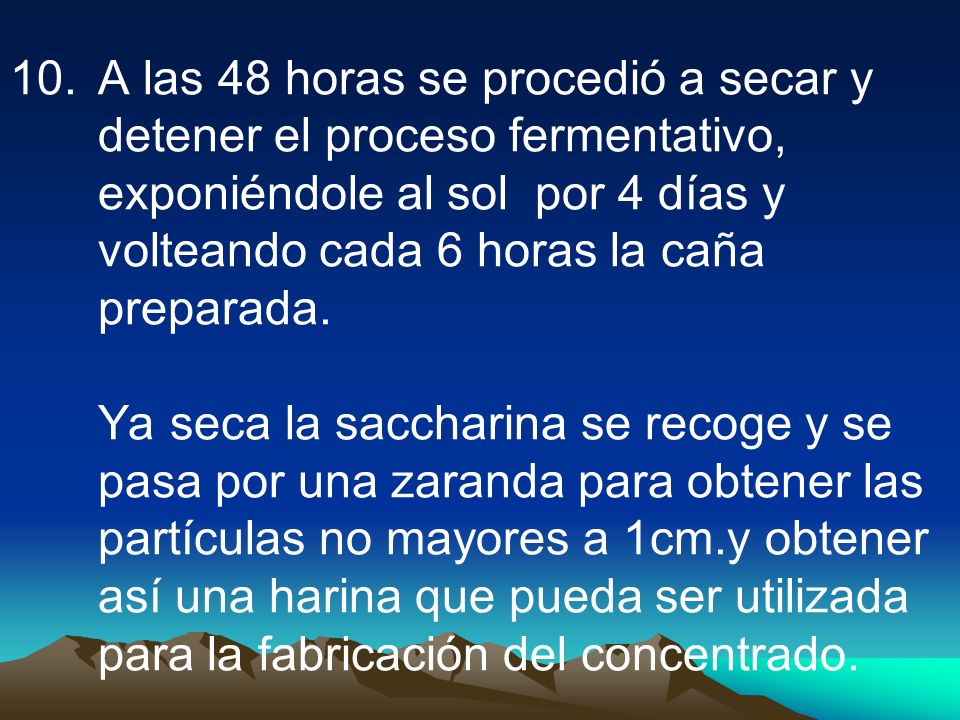 A las 48 horas se procedió a secar y detener el proceso fermentativo, exponiéndole al sol por 4 días y volteando cada 6 horas la caña preparada.