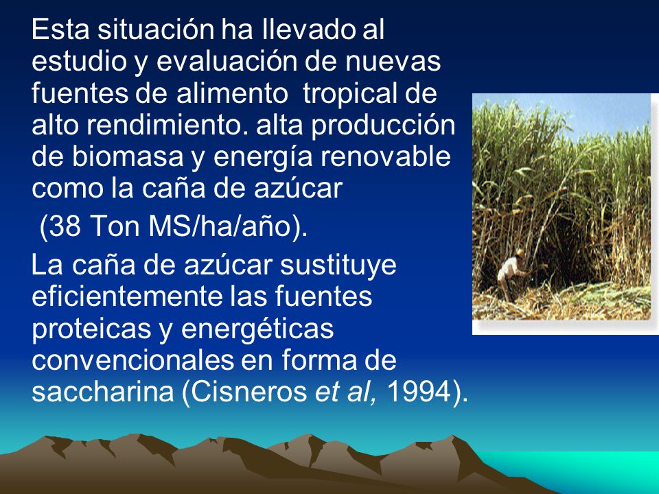 Esta situación ha llevado al estudio y evaluación de nuevas fuentes de alimento tropical de alto rendimiento. alta producción de biomasa y energía renovable como la caña de azúcar