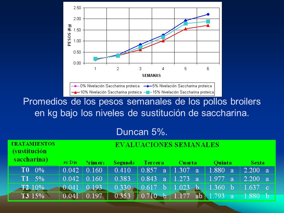 Promedios de los pesos semanales de los pollos broilers en kg bajo los niveles de sustitución de saccharina.