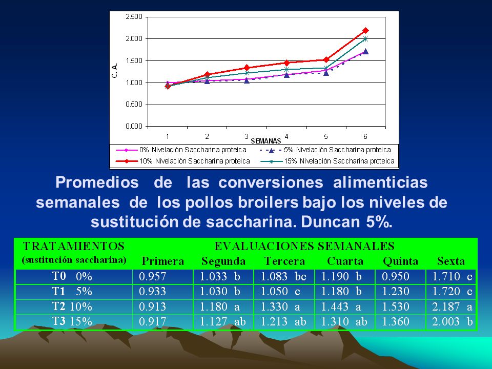 Promedios de las conversiones alimenticias semanales de los pollos broilers bajo los niveles de sustitución de saccharina.